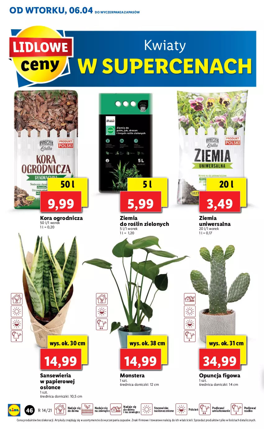 Gazetka promocyjna Lidl - GAZETKA - ważna 06.04 do 07.04.2021 - strona 46 - produkty: Cień, O nas, Papier, Tera