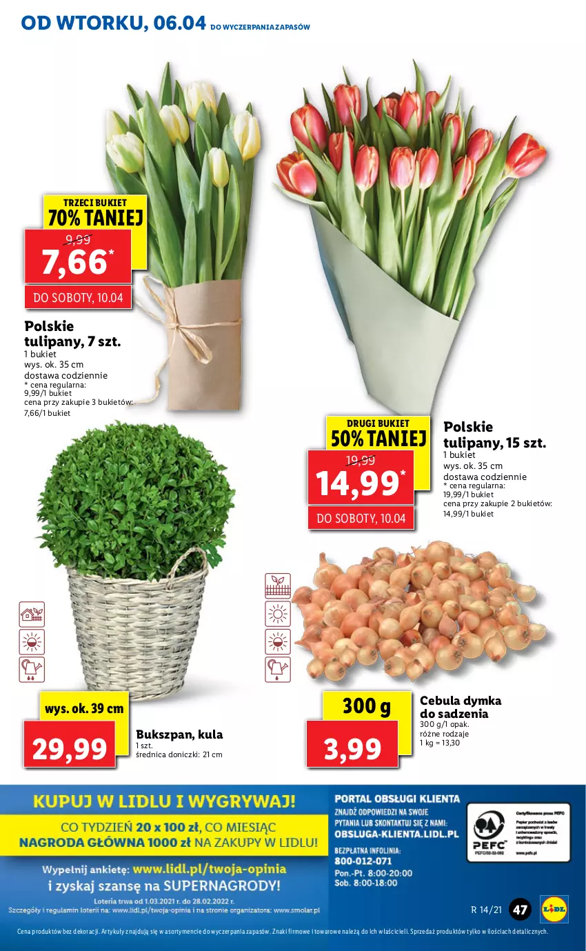 Gazetka promocyjna Lidl - GAZETKA - ważna 06.04 do 07.04.2021 - strona 47 - produkty: Bukiet, Cebula, Tulipan