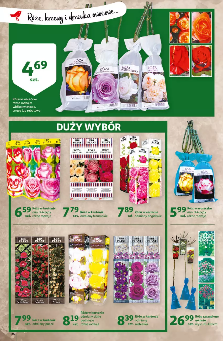 Gazetka promocyjna Auchan - Pięknego Dnia Kobiet Hipermarkety - ważna 04.03 do 10.03.2021 - strona 24 - produkty: Fa, Flaki, Róża