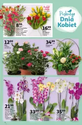 Gazetka promocyjna Auchan - Pięknego Dnia Kobiet Hipermarkety - Gazetka - ważna od 10.03 do 10.03.2021 - strona 4 - produkty: Tulipan, Róża, Kosz, Storczyk, Bukiet, Fa