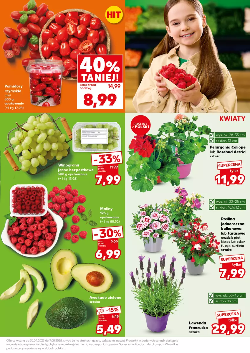 Gazetka promocyjna Kaufland - Mocny Start - ważna 05.05 do 07.05.2025 - strona 11 - produkty: Astrid, Pomidory, Surf, Wino, Winogrona