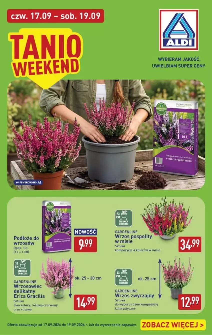 Gazetka promocyjna Aldi - Pełna oferta - ważna 14.09 do 19.09.2026 - strona 32 - produkty: Gra