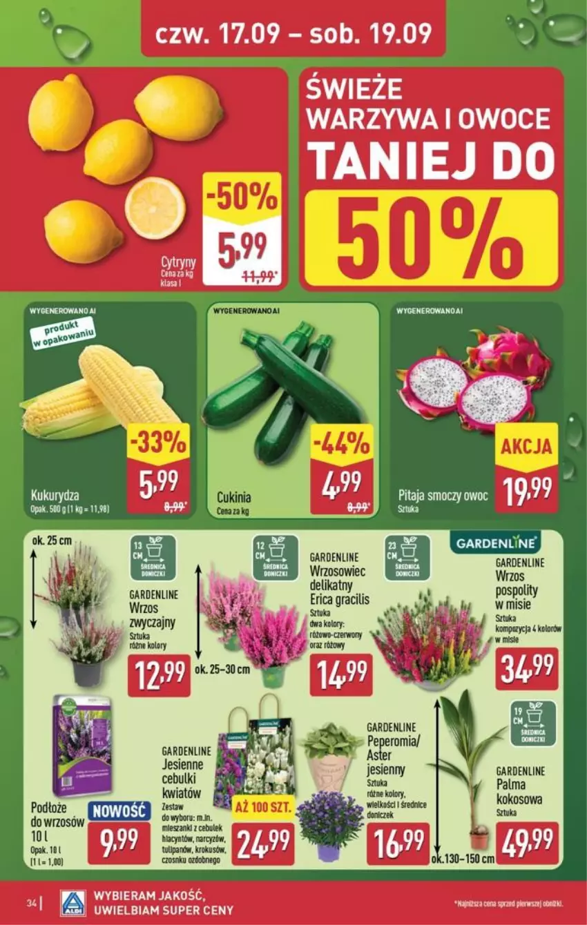 Gazetka promocyjna Aldi - Pełna oferta - ważna 14.09 do 19.09.2026 - strona 34 - produkty: Krokus, Narcyz, Owoce, Palma, Tulipan, Warzywa, Warzywa i owoce