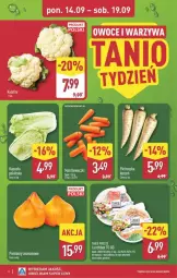 Gazetka promocyjna Aldi - Pełna oferta - Gazetka - ważna od 19.09 do 19.09.2026 - strona 4 - produkty: Kalafior, Pietruszka, Ananas, Manta, Pomidory