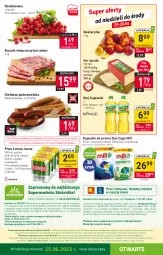 Gazetka promocyjna Stokrotka - Supermarket - Gazetka - ważna od 28.06 do 28.06.2023 - strona 18 - produkty: Piwa, Piwo, Warzywa, Kujawski, Ser, Gra, Telefon, O nas, Kiełbasa podwawelska, Wawel, Boczek, Owoce, Gouda, Kapsułki do prania, Wagi, Olej, Kiełbasa, Rzodkiewka, Mięso, Nektar, Boczek wieprzowy