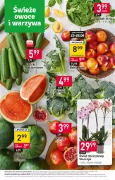Gazetka promocyjna Stokrotka - Supermarket - Gazetka - ważna od 28.06 do 28.06.2023 - strona 2 - produkty: Warzywa, Gra, Granat, Storczyk, Owoce, Arbuz, Mięso, Nektar, Szpinak