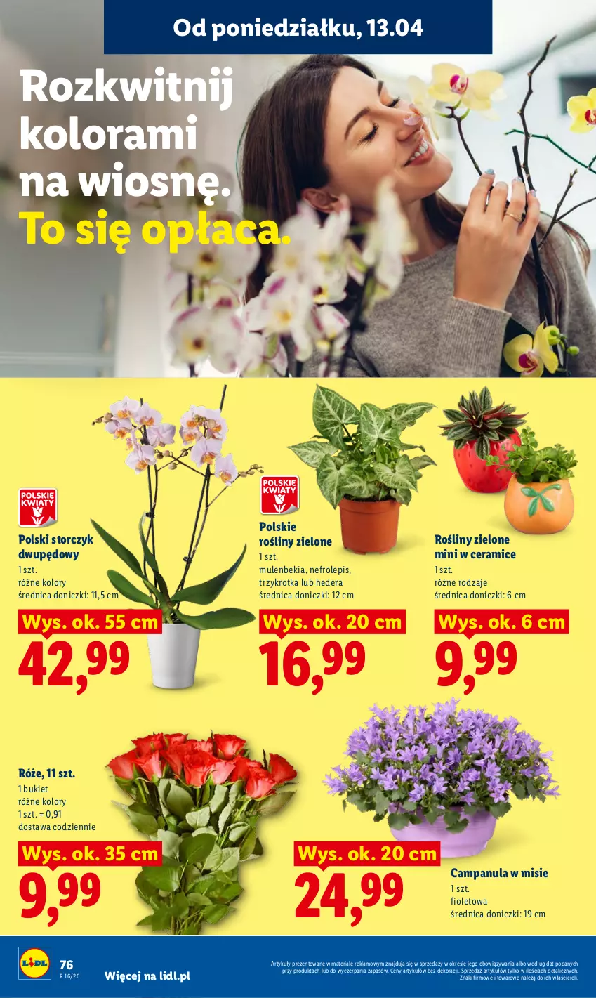 Gazetka promocyjna Lidl - Gazetka ważna od 13.04 do 15.04 - ważna 13.04 do 15.04.2026 - strona 82 - produkty: Bukiet, Campanula, Mule, Storczyk