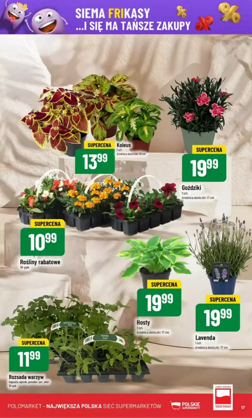 Gazetka promocyjna PoloMarket - ważna 07.05 do 13.05.2025 - strona 9 - produkty: Ogórek, Por, Ser