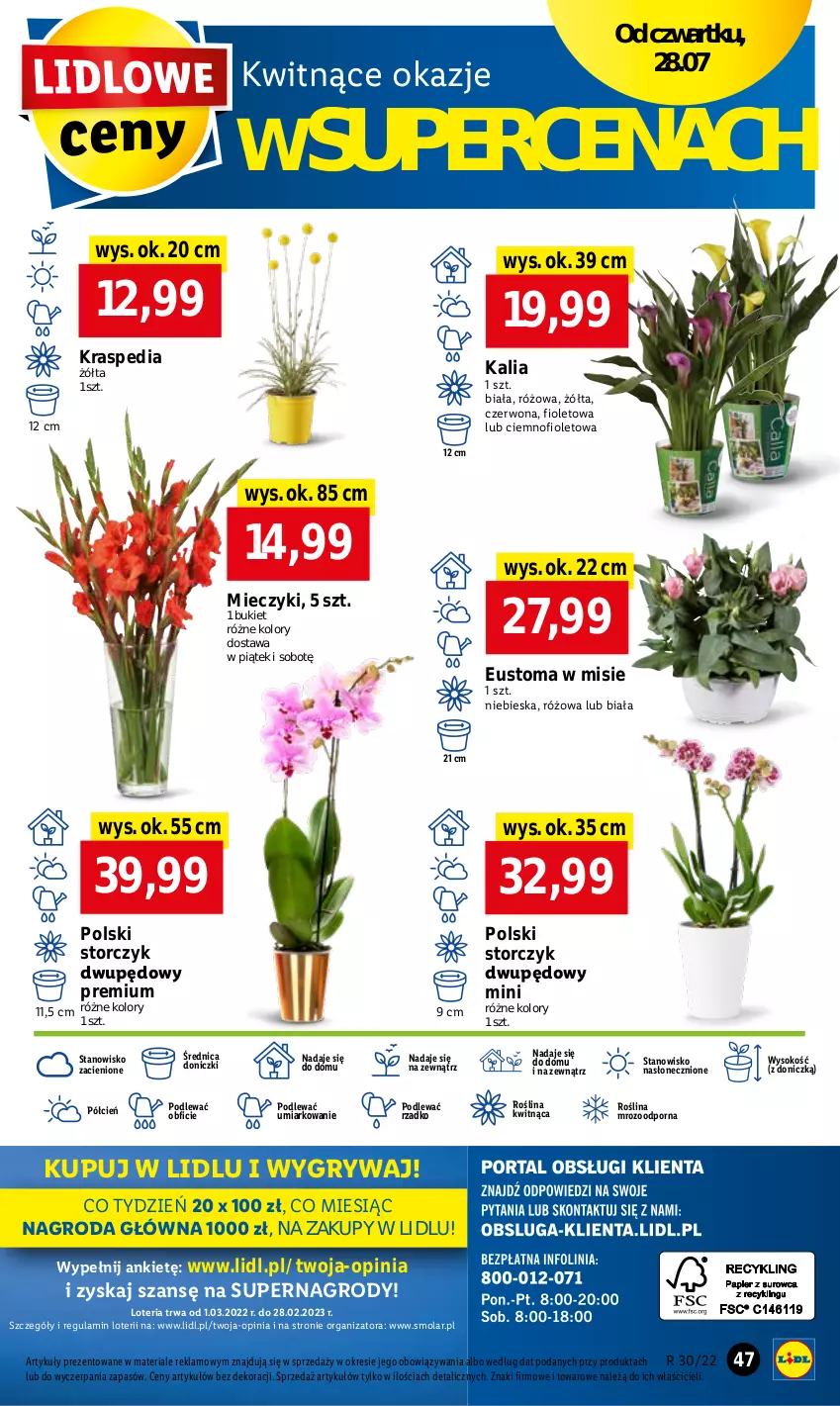 Gazetka promocyjna Lidl - GAZETKA - ważna 28.07 do 30.07.2022 - strona 47 - produkty: Bukiet, Cień, Gry, Miecz, Mola, O nas, Por, Sok, Storczyk