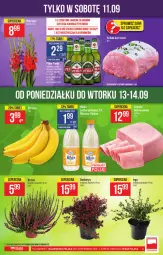 Gazetka promocyjna PoloMarket - Gazetka pomocyjna - Gazetka - ważna od 14.09 do 14.09.2021 - strona 5 - produkty: Piwa, Piec, Gra, Tera, LANA, Laur, Szynka