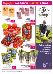 Gazetka promocyjna Carrefour - Gazetka Produkt Carrefour - Gazetka - ważna od 17.07 do 17.07.2021 - strona 3 - produkty: Ser, Pietruszka, Roszponka, Kolendra, Zioła w doniczce, Rukola, Sałat, Wędlina, Bazyl, Bazylia, Pomidory, Mięta
