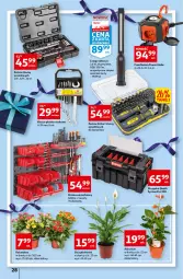 Gazetka promocyjna Auchan - przeNISKIE CENY PRZEwybór letnich napojów Hipermarkety - Gazetka - ważna od 22.06 do 22.06.2022 - strona 28 - produkty: Top, Kalanchoe, Zestaw kluczy, Lampa, Zestaw narzędzi, Akumulator