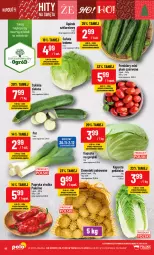 Gazetka promocyjna PoloMarket - Gazetka pomocyjna - Gazetka - ważna od 05.12 do 05.12.2023 - strona 18 - produkty: Papryka słodka, Sałata lodowa, Papryka, Ziemniaki, Sałat, Ogród, Pomidory