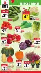 Gazetka promocyjna Intermarche - Gazetka promocyjna - Gazetka - ważna od 08.10 do 08.10.2025 - strona 18 - produkty: Kalafior, Por, Mus, Papryka czerwona, Papryka, Ogórek, Grunt