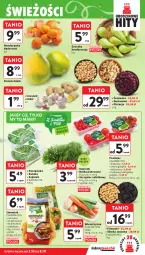 Gazetka promocyjna Intermarche - Gazetka promocyjna - Gazetka - ważna od 08.10 do 08.10.2025 - strona 19 - produkty: Piec, Roszponka, Czosnek, Rukola, Sałat, Pomelo, Natka pietruszki, Szpinak, Imbir