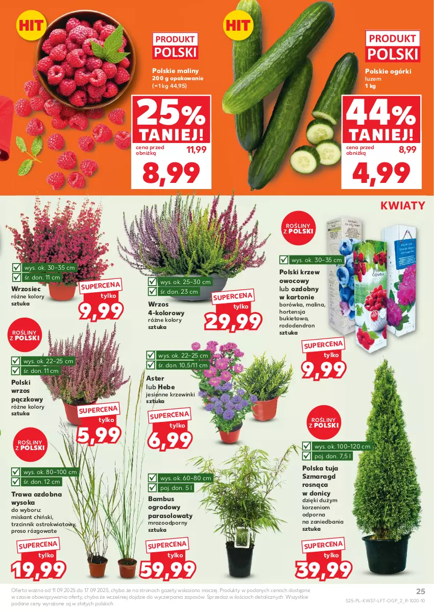 Gazetka promocyjna Kaufland - Gazetka tygodnia - ważna 11.09 do 17.09.2025 - strona 25 - produkty: Borówka, Bukiet, Maliny, Miska, Parasol, Por, Sok