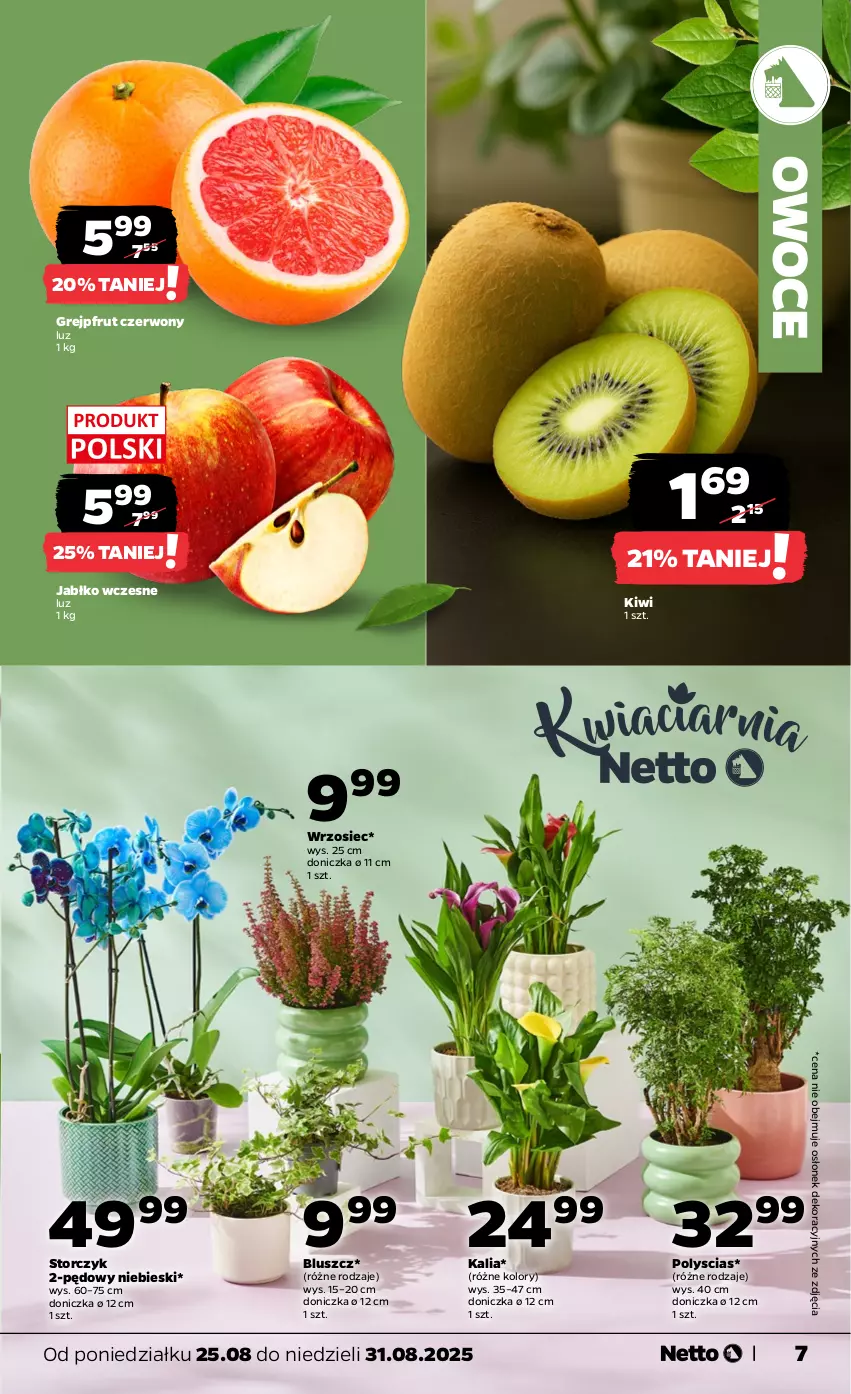 Gazetka promocyjna Netto - Od Poniedziałku - ważna 25.08 do 31.08.2025 - strona 7 - produkty: Grejpfrut, Kiwi, Owoce, Storczyk