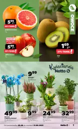 Gazetka promocyjna Netto - Od Poniedziałku - Gazetka - ważna od 31.08 do 31.08.2025 - strona 7 - produkty: Kiwi, Storczyk, Owoce, Grejpfrut