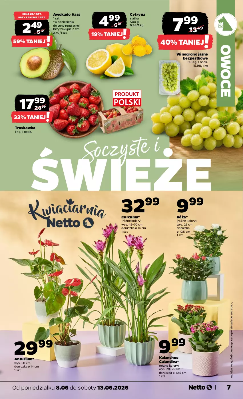 Gazetka promocyjna Netto - Od Poniedziałku - ważna 08.06 do 13.06.2026 - strona 7 - produkty: Kalanchoe, Owoce, Róża, Siatka, Wino
