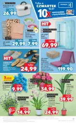 Gazetka promocyjna Kaufland - OFERTA TYGODNIA - Gazetka - ważna od 21.07 do 21.07.2021 - strona 41 - produkty: Klapki, Koc, Gra, Pojemnik, Materac, Tera, Palma, Szafa, Bukiet, Waga, Kokos, Fa