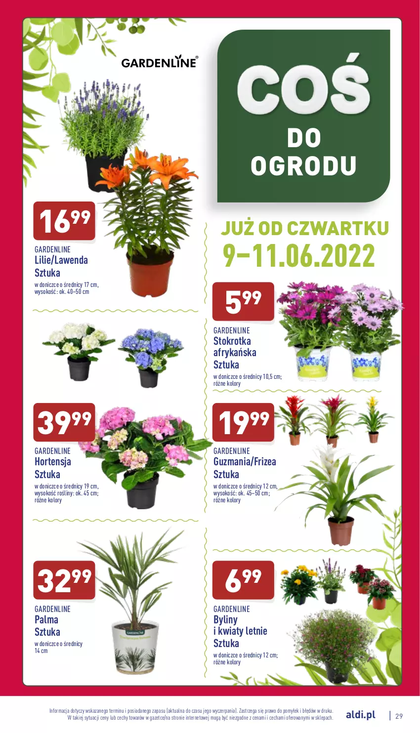 Gazetka promocyjna Aldi - Pełny katalog - ważna 06.06 do 11.06.2022 - strona 29 - produkty: Palma, Sok