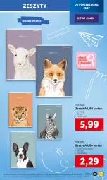 Gazetka promocyjna Lidl - KATALOG GOTOWI DO SZKOŁY - Gazetka - ważna od 31.08 do 31.08.2024 - strona 25 - produkty: Top