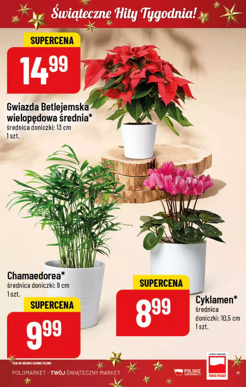 Gazetka promocyjna PoloMarket - Gazetka pomocyjna - ważna 23.11 do 29.11.2022 - strona 11 - produkty: Cyklamen, Gwiazda, Hama