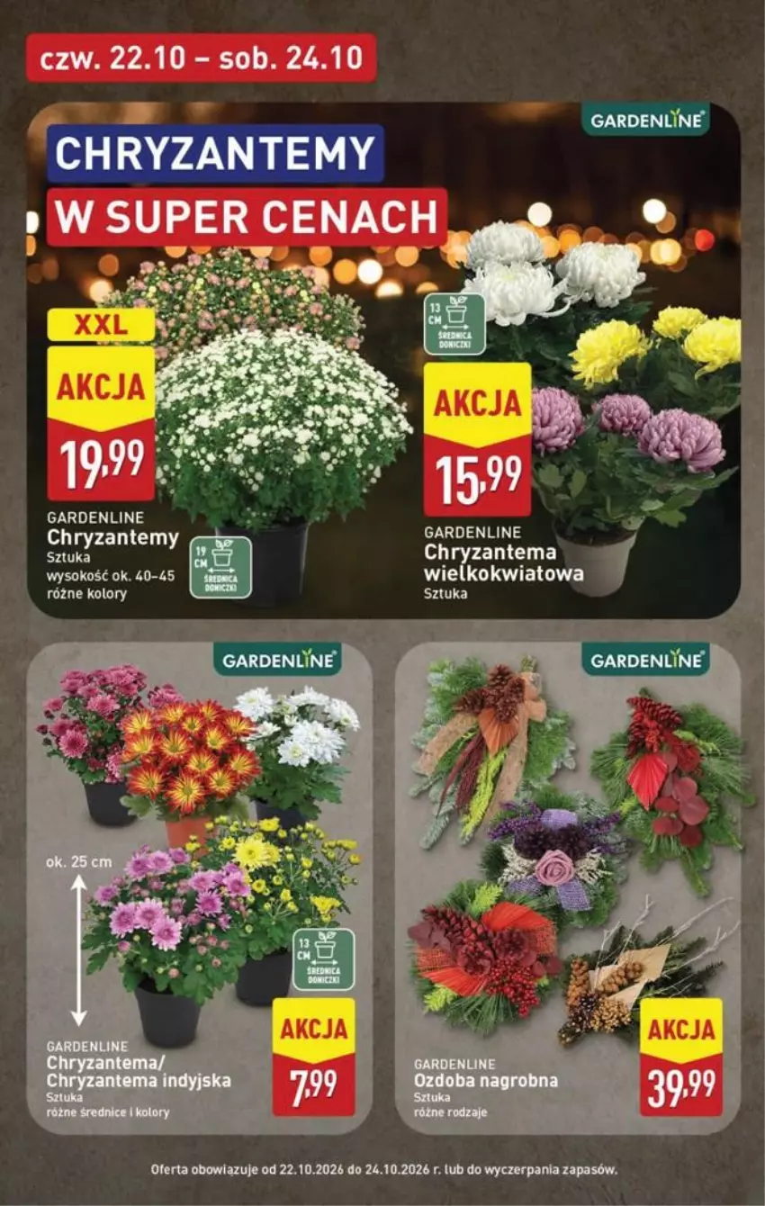 Gazetka promocyjna Aldi - Pełna oferta - ważna 19.10 do 24.10.2026 - strona 44 - produkty: Chryzantema, Sok