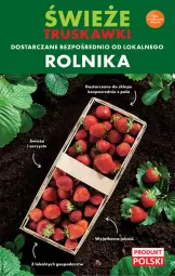Gazetka promocyjna Biedronka - Gazetka - ważna od 22.06 do 22.06.2022 - strona 13 - produkty: Truskawki, Rolnik