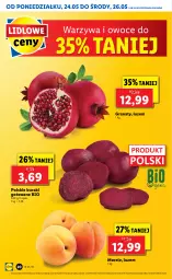 Gazetka promocyjna Lidl - GAZETKA - Gazetka - ważna od 26.05 do 26.05.2021 - strona 20 - produkty: Warzywa, Gra, Granat, Warzywa i owoce, Buraki, Owoce