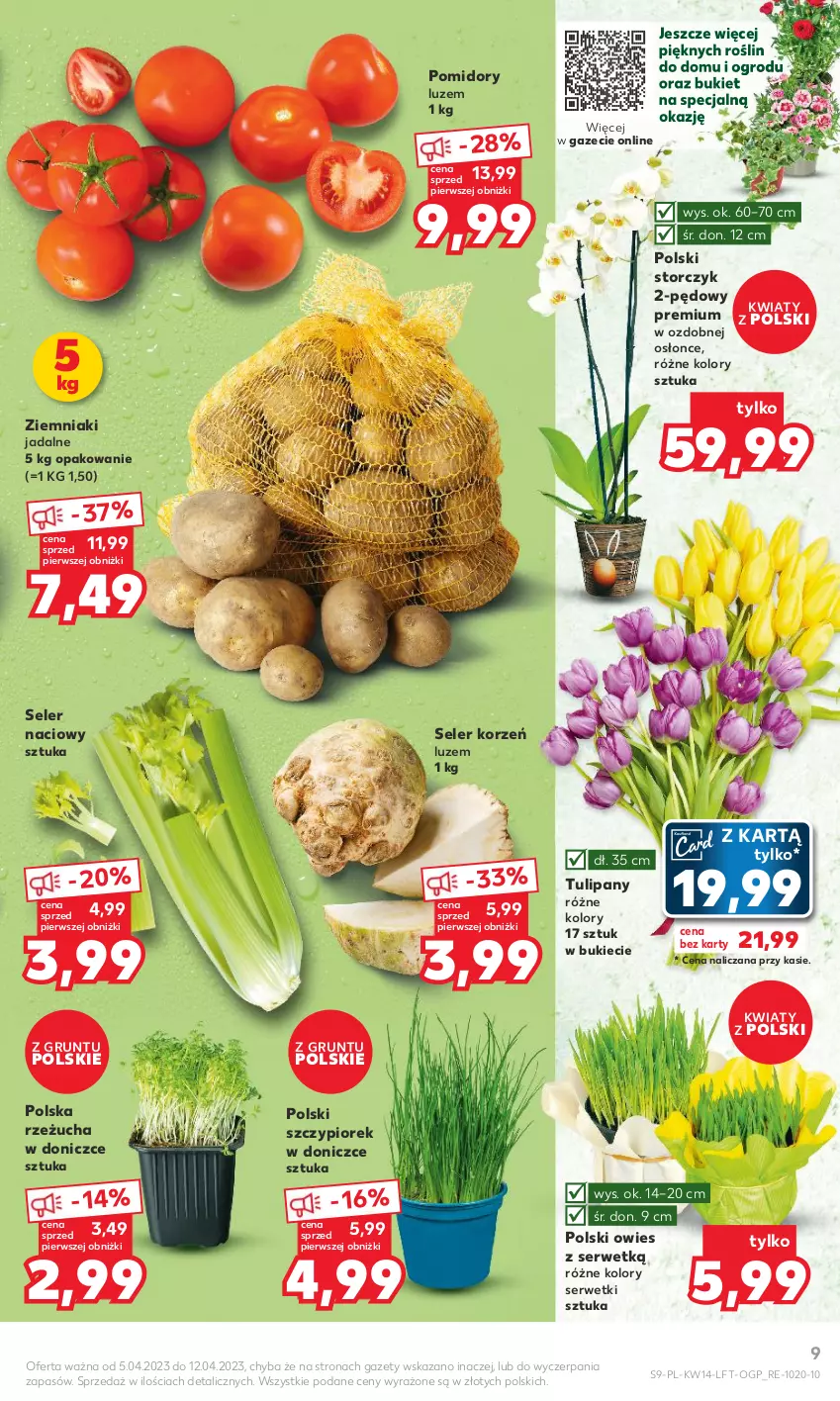 Gazetka promocyjna Kaufland - 5 kwietnia - ważna 05.04 do 12.04.2023 - strona 9 - produkty: Bukiet, Grunt, Pomidory, Rzeżucha, Seler korzeń, Seler naciowy, Ser, Serwetki, Storczyk, Tulipan, Ziemniaki