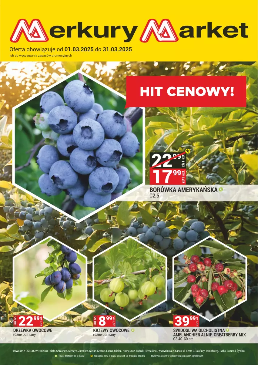 Gazetka promocyjna Merkury Market - ważna 01.03 do 31.03.2025 - strona 1 - produkty: Borówka, Borówka amerykańska, Chrzan