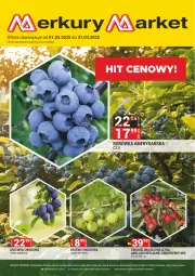 Gazetka promocyjna Merkury Market - Gazetka - ważna od 31.03 do 31.03.2025 - strona 1 - produkty: Chrzan, Borówka, Borówka amerykańska