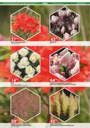 Gazetka promocyjna Merkury Market - Gazetka - ważna od 31.03 do 31.03.2025 - strona 2 - produkty: Chrzan, Bukiet