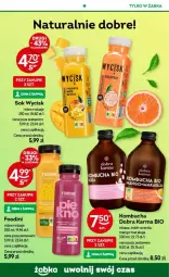 Gazetka promocyjna Żabka - Gazetka - ważna od 23.04 do 23.04.2024 - strona 38 - produkty: Sok, Acer, Róża, Mango, Imbir