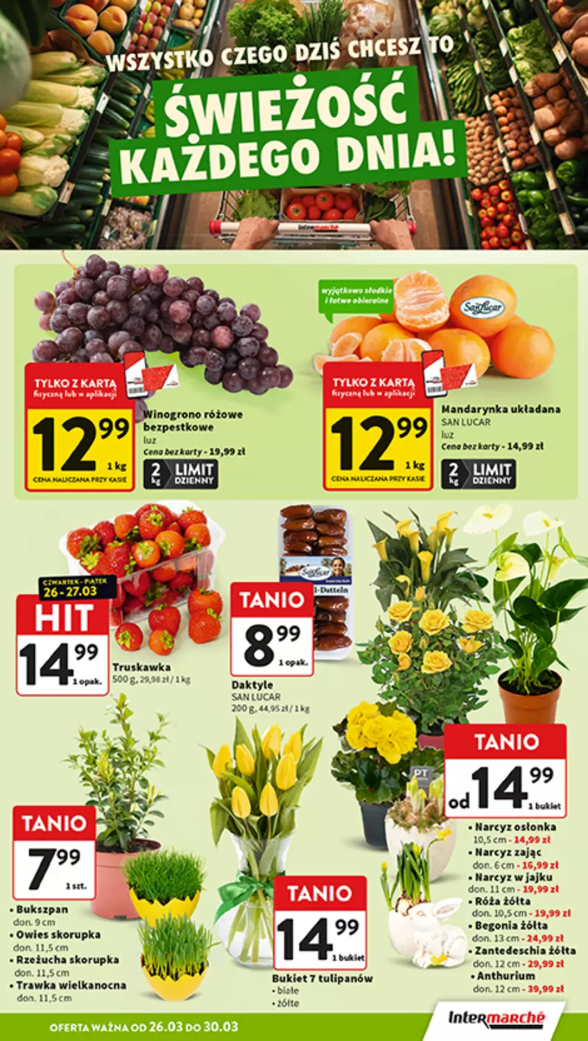 Gazetka promocyjna Intermarche - Gazetka promocyjna - ważna 26.03 do 30.03.2026 - strona 15 - produkty: Chia, Narcyz, Osłonka, Róża, Rzeżucha