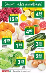 Gazetka promocyjna Spar - Spar - Gazetka - ważna od 21.02 do 21.02.2024 - strona 2 - produkty: Cebula, Gra, Sałata lodowa, Czosnek, Cytryny, Siatka, Sałat, Wino