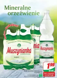 Gazetka promocyjna Dino - Gazetka - ważna od 19.03 do 19.03.2024 - strona 12 - produkty: Mus, Muszynianka, Woda mineralna, Woda, Wasa, Magnez