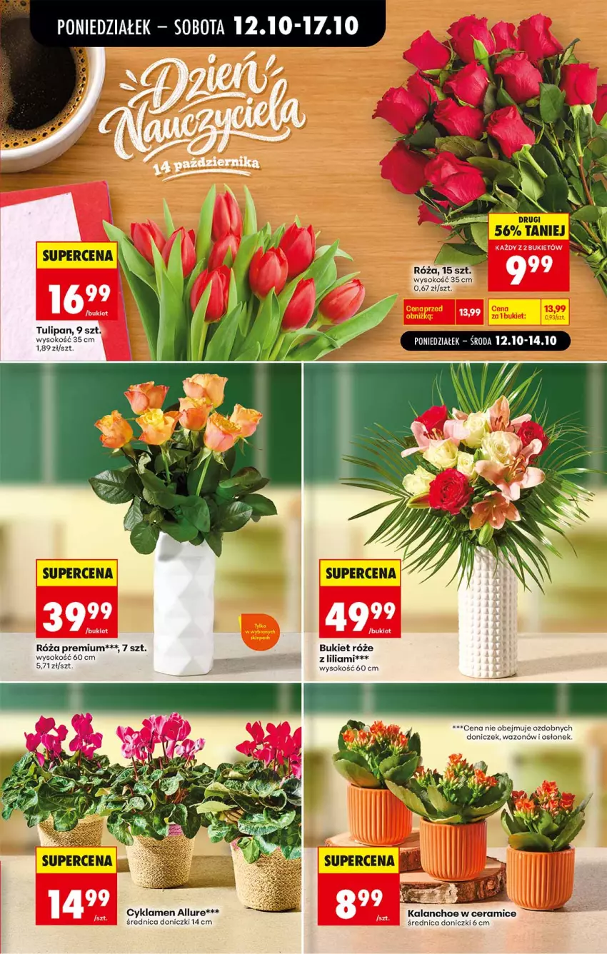 Gazetka promocyjna Biedronka - Od Poniedziałku - ważna 12.10 do 17.10.2026 - strona 7 - produkty: Bukiet, Cyklamen, Kalanchoe, Róża, Sok, Tulipan, Wazon
