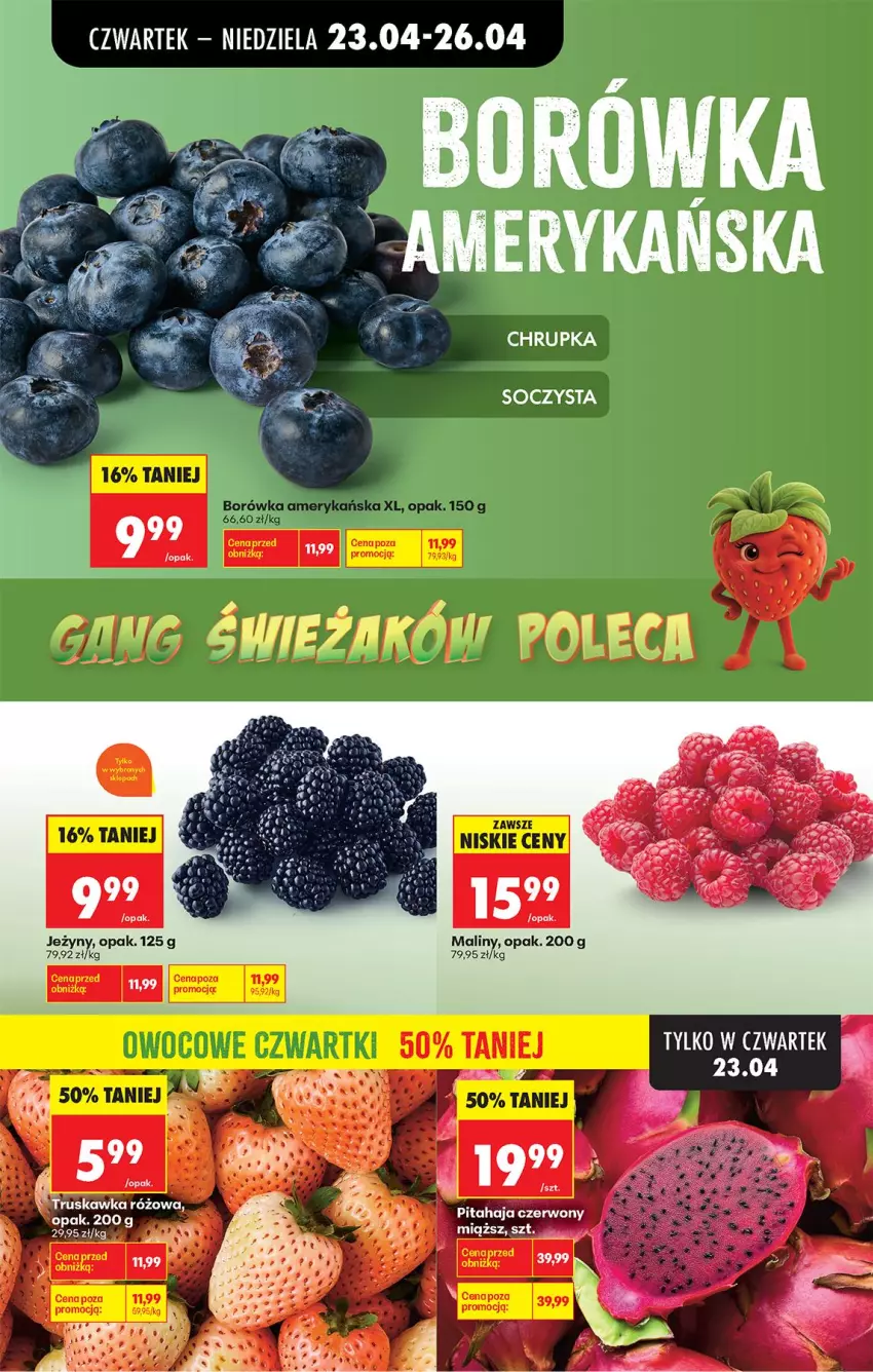 Gazetka promocyjna Biedronka - Od Czwartku - ważna 23.04 do 29.04.2026 - strona 36 - produkty: Jeżyny, LG, Maliny, Szal