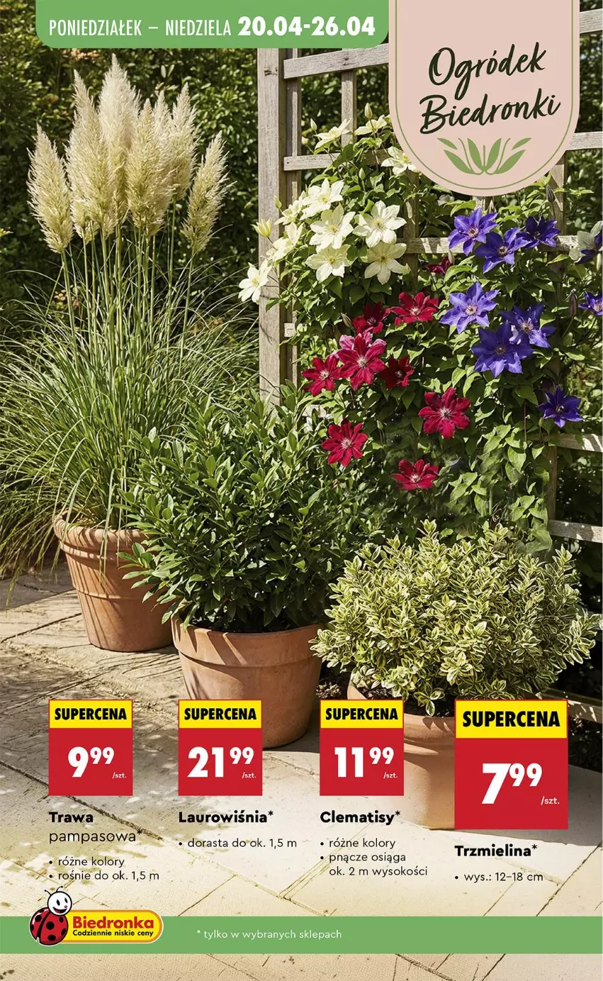 Gazetka promocyjna Biedronka - Od Czwartku - ważna 23.04 do 29.04.2026 - strona 89 - produkty: Fa, Laur, Sok