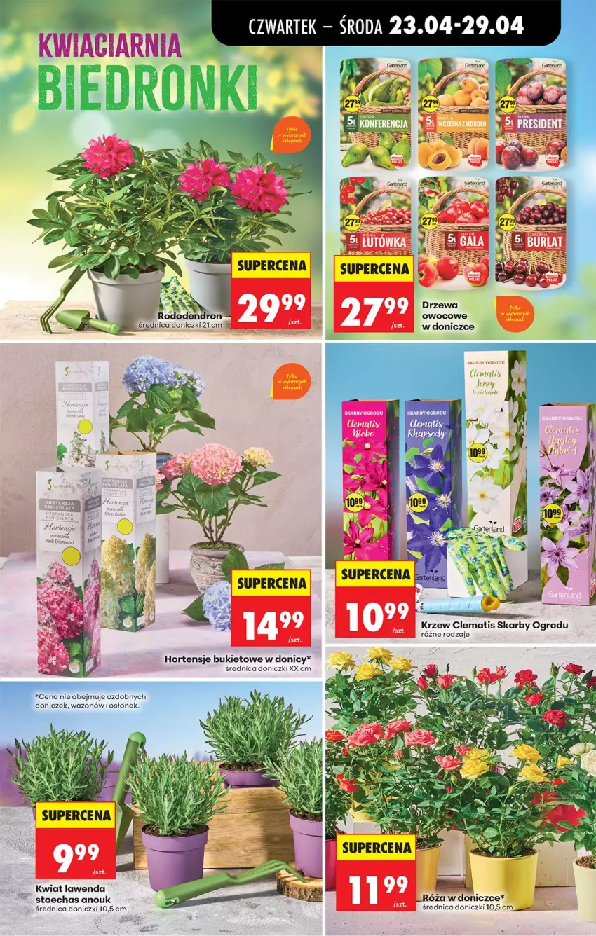 Gazetka promocyjna Biedronka - Od Czwartku - ważna 23.04 do 29.04.2026 - strona 92 - produkty: Bukiet, Róża, Wazon