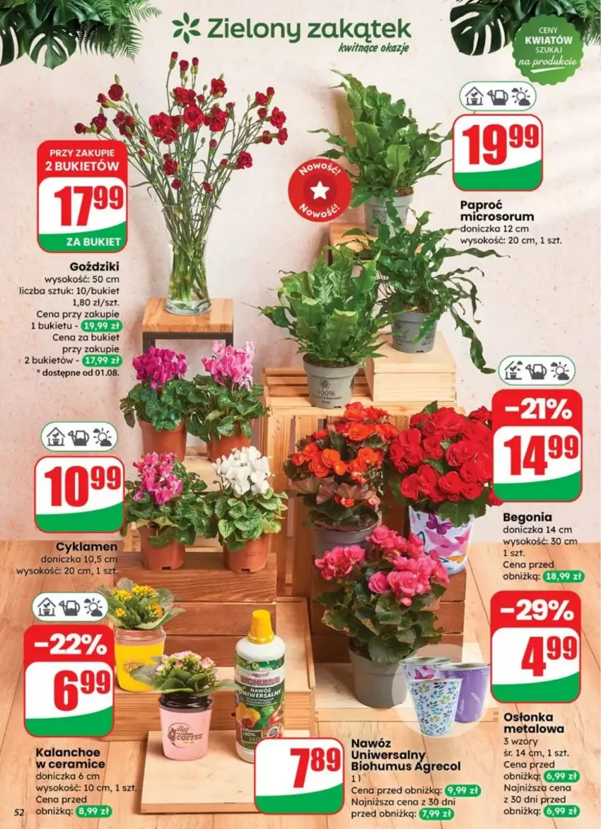 Gazetka promocyjna Dino - ważna 30.07 do 05.08.2025 - strona 48 - produkty: Biohumus, Bukiet, Cyklamen, Fa, Kalanchoe, Mus, Osłonka, Rum, Sok