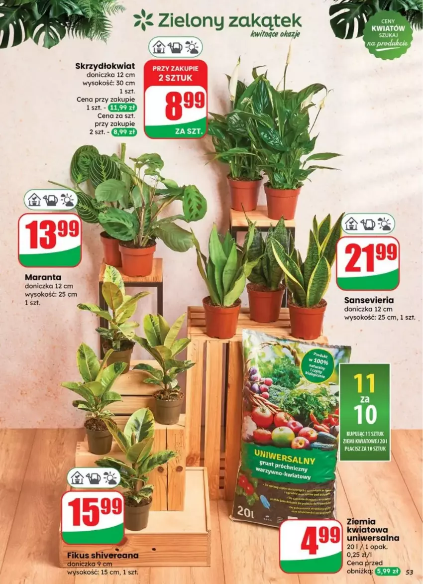 Gazetka promocyjna Dino - ważna 30.07 do 05.08.2025 - strona 49 - produkty: Gin, Sok