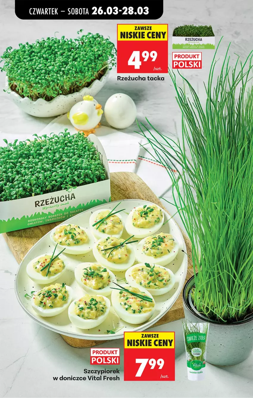 Gazetka promocyjna Biedronka - Od Czwartku - ważna 26.03 do 01.04.2026 - strona 27 - produkty: Fa