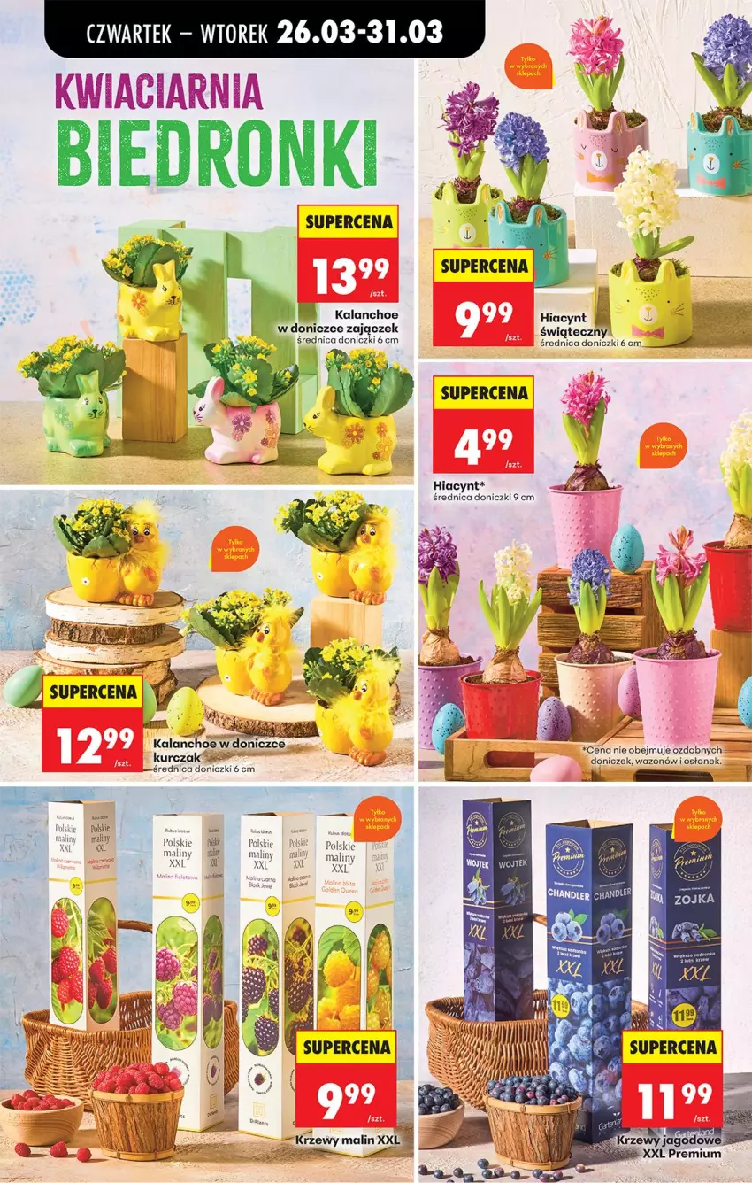 Gazetka promocyjna Biedronka - Od Czwartku - ważna 26.03 do 01.04.2026 - strona 82 - produkty: Fa, Hiacynt, HP, Kalanchoe, Kurczak, Maliny, Wazon