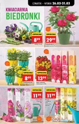 Gazetka promocyjna Biedronka - Od Czwartku - Gazetka - ważna od 01.04 do 01.04.2026 - strona 83 - produkty: Sok, Por, Róża, Chryzantema, Wazon, Ogród