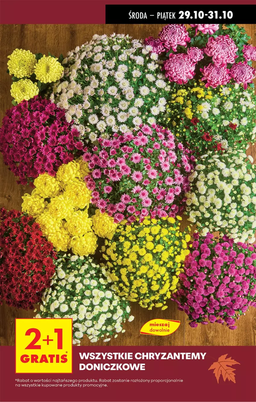 Gazetka promocyjna Biedronka - Od Środy - ważna 29.10 do 30.10.2025 - strona 19 - produkty: Por