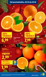 Gazetka promocyjna Lidl - GAZETKA - Gazetka - ważna od 23.12 do 23.12.2025 - strona 23 - produkty: Ser, Pomarańcze, Deser, Olej