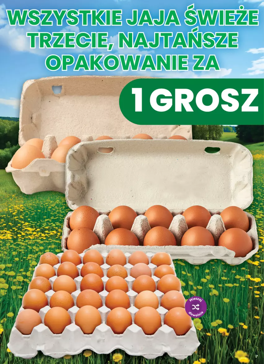 Gazetka promocyjna Dino - Weekendowe okazje - ważna 21.08 do 22.08.2026 - strona 7